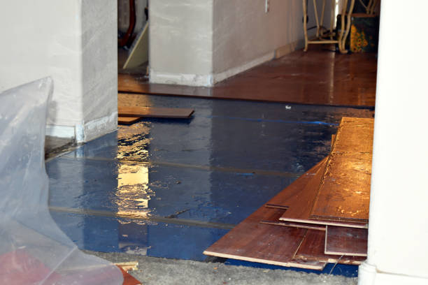 Professional Burst Pipe Cleanup technician working in Carsonville, MI